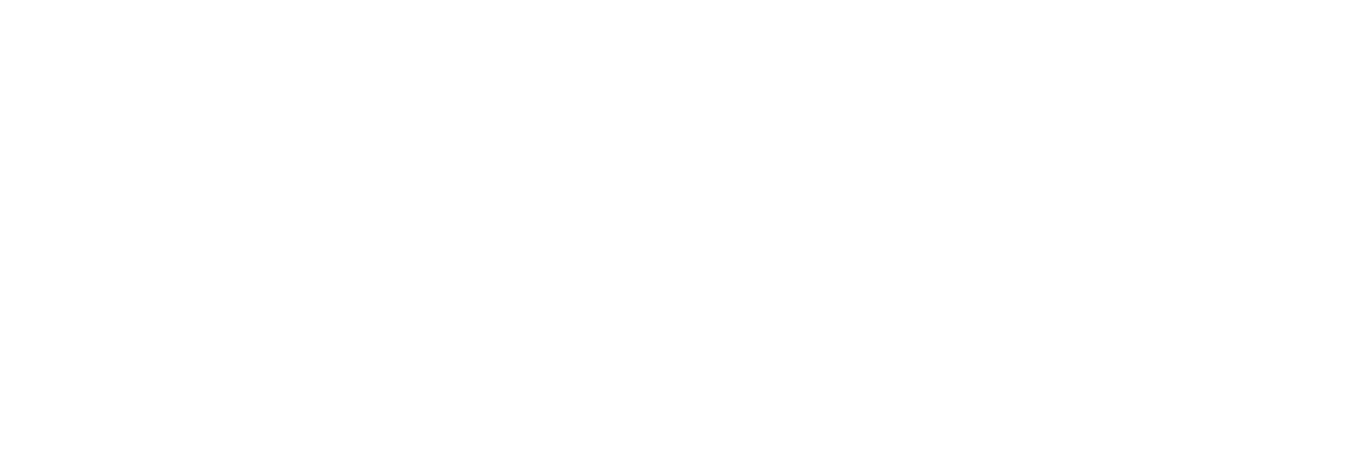 Logo-MonochormeBlanc-VittNett